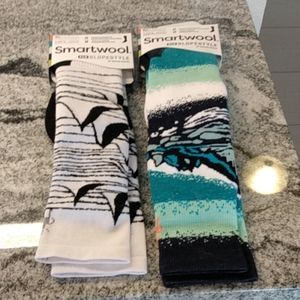 Smartwool phD Slopestyle socks